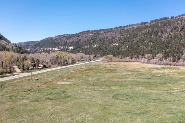 26217 Rd 38.5, Dolores, CO 81323 - mountain view with a heavily wooded area and rural landscape