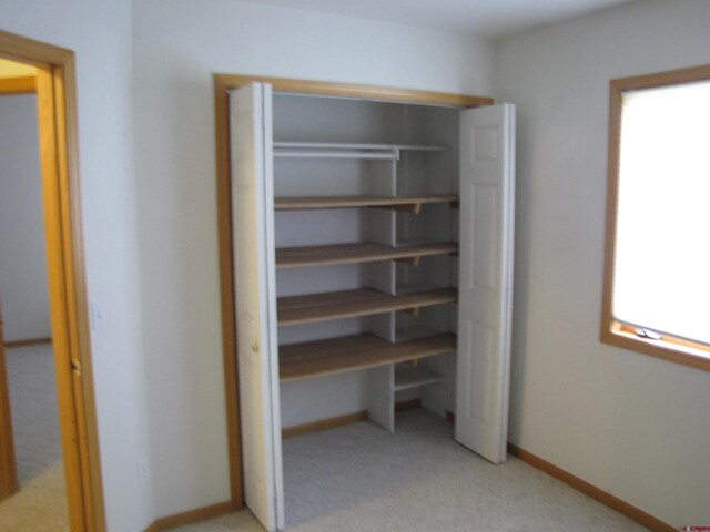 1770 Stellar Pl, Montrose, CO 81401 - view of closet