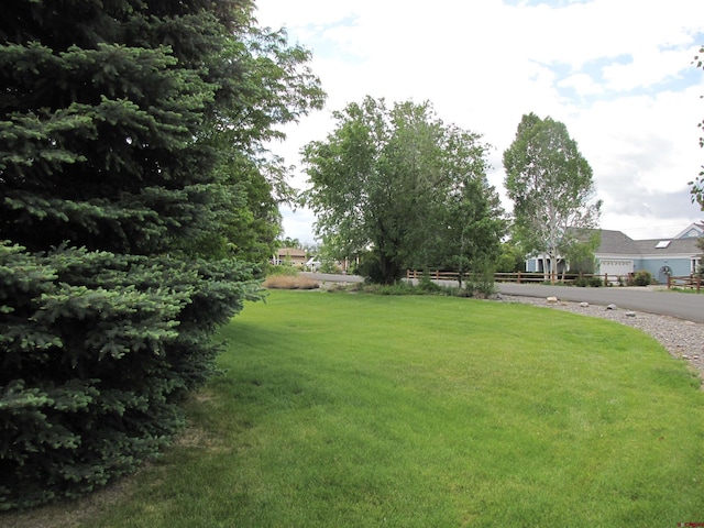 1770 Stellar Pl, Montrose, CO 81401 - view of green lawn
