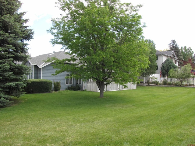 1770 Stellar Pl, Montrose, CO 81401 - view of yard