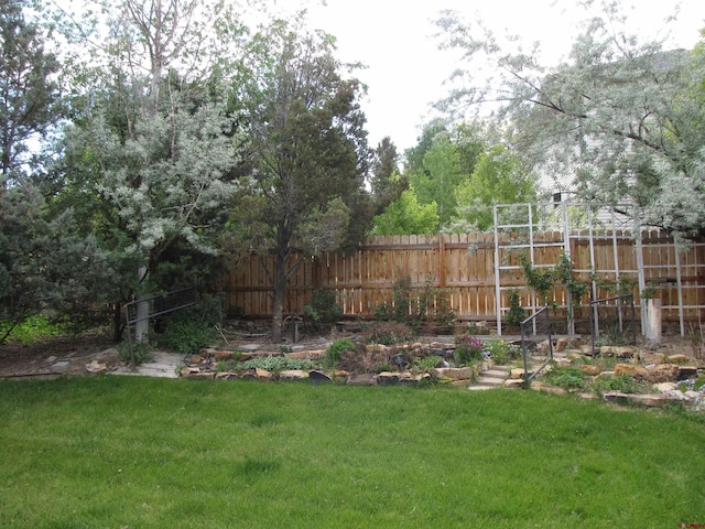 1770 Stellar Pl, Montrose, CO 81401 - view of yard