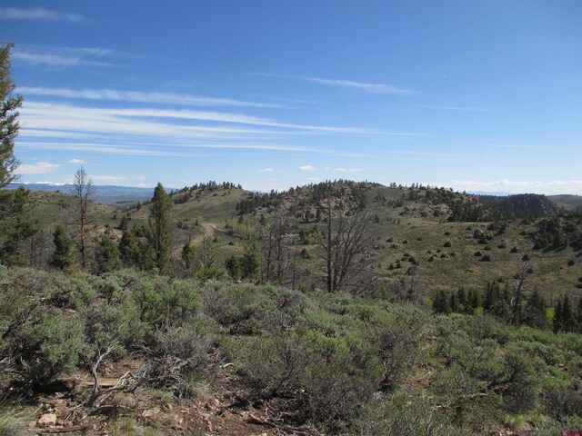 L51/U2 Mosquito Way, Powderhorn, CO 81243