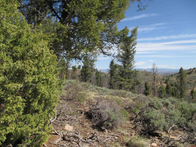 L51/U2 Mosquito Way, Powderhorn, CO 81243