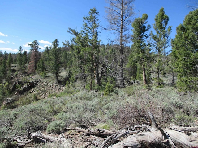 L51/U2 Mosquito Way, Powderhorn, CO 81243