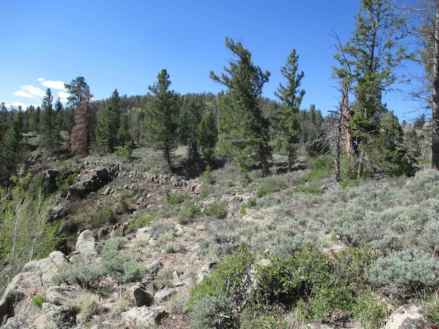 L51/U2 Mosquito Way, Powderhorn, CO 81243