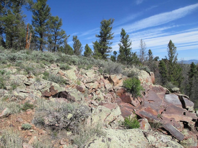L51/U2 Mosquito Way, Powderhorn, CO 81243