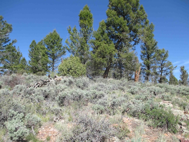 L51/U2 Mosquito Way, Powderhorn, CO 81243