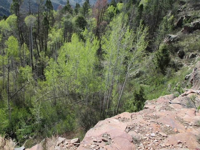 L51/U2 Mosquito Way, Powderhorn, CO 81243