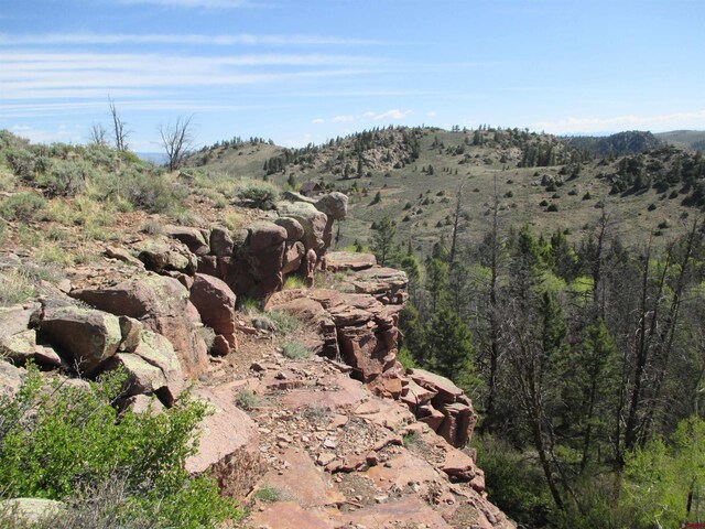 L51/U2 Mosquito Way, Powderhorn, CO 81243