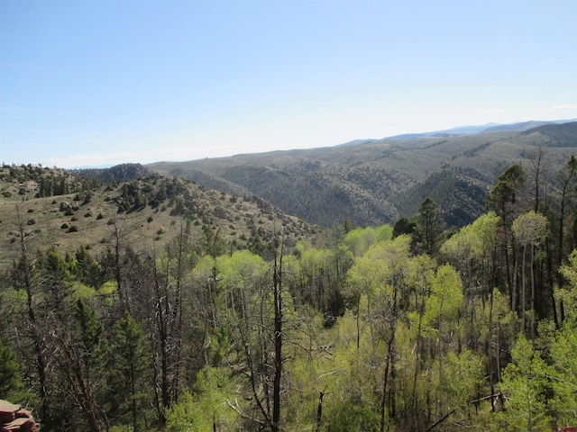 L51/U2 Mosquito Way, Powderhorn, CO 81243