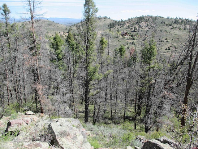 L51/U2 Mosquito Way, Powderhorn, CO 81243