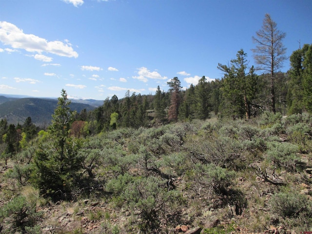 L51/U2 Mosquito Way, Powderhorn, CO 81243