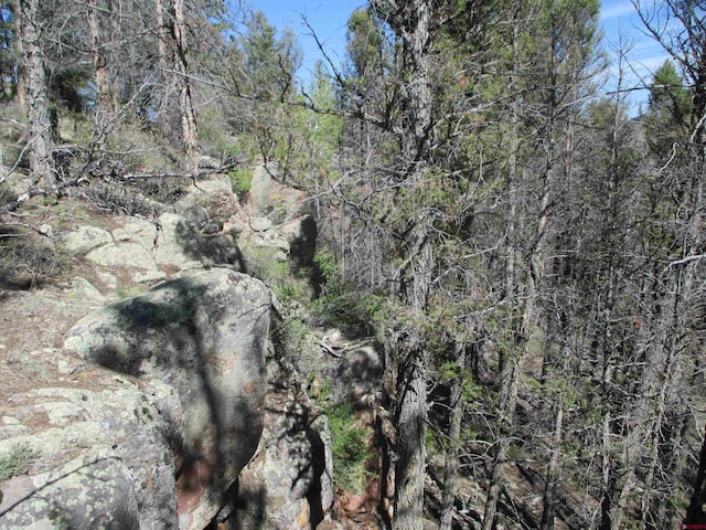 L51/U2 Mosquito Way, Powderhorn, CO 81243