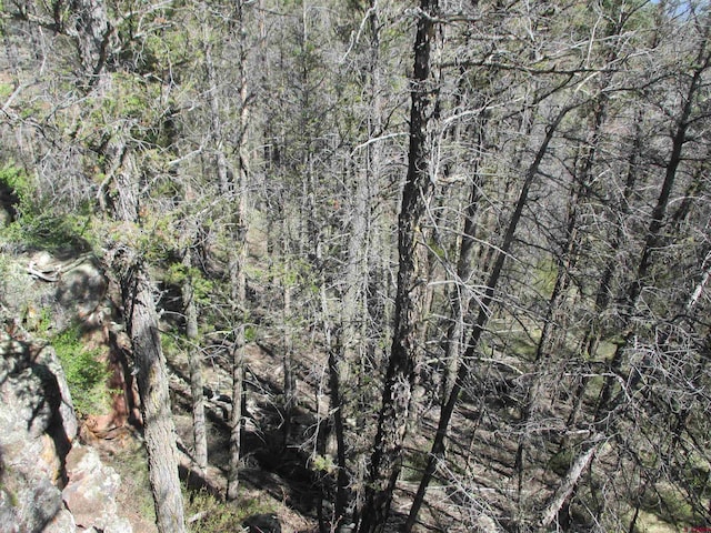 L51/U2 Mosquito Way, Powderhorn, CO 81243