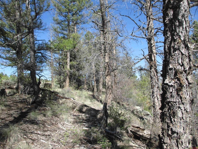 L51/U2 Mosquito Way, Powderhorn, CO 81243