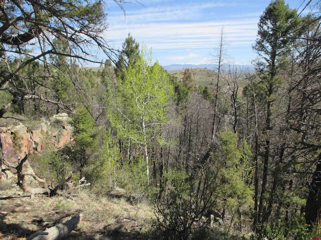 L51/U2 Mosquito Way, Powderhorn, CO 81243