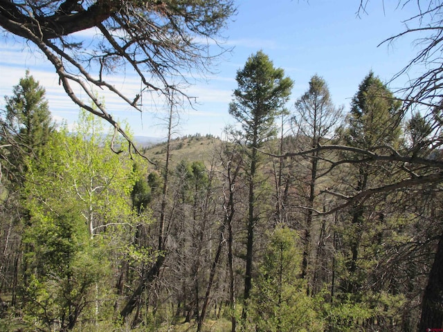 L51/U2 Mosquito Way, Powderhorn, CO 81243