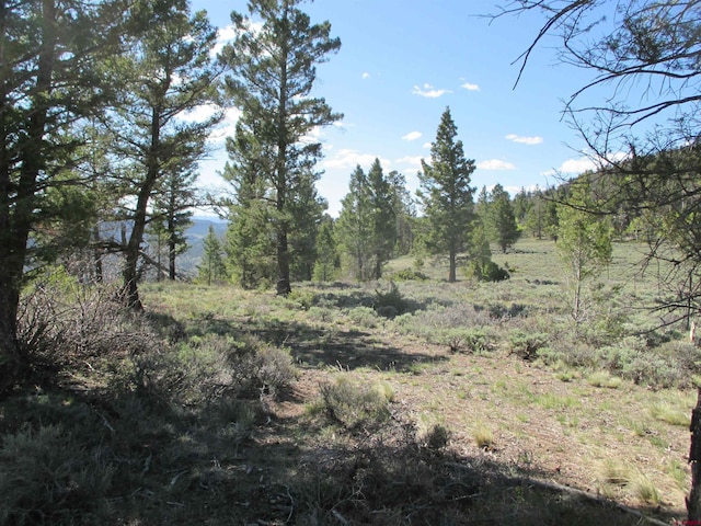 L51/U2 Mosquito Way, Powderhorn, CO 81243