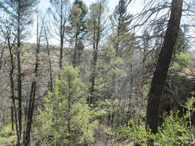 L51/U2 Mosquito Way, Powderhorn, CO 81243
