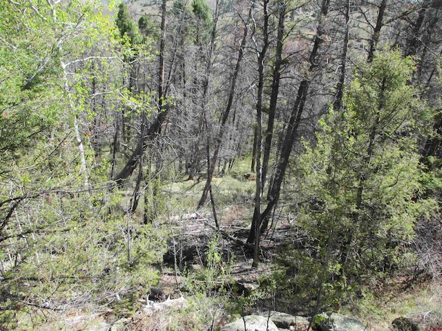 L51/U2 Mosquito Way, Powderhorn, CO 81243