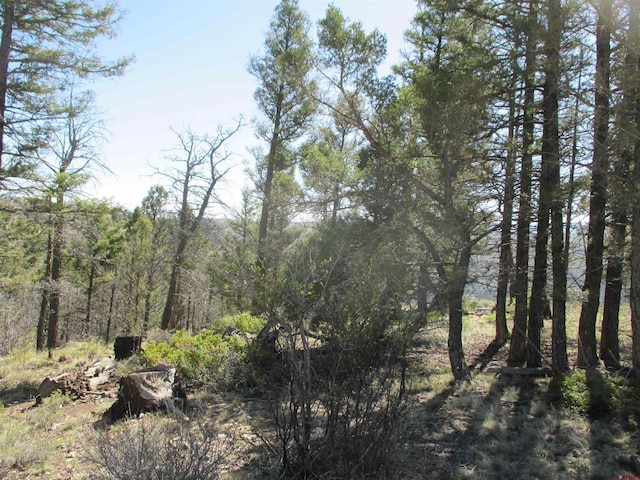 L51/U2 Mosquito Way, Powderhorn, CO 81243