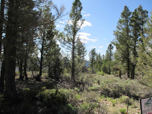L51/U2 Mosquito Way, Powderhorn, CO 81243