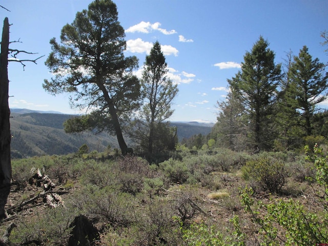 L51/U2 Mosquito Way, Powderhorn, CO 81243