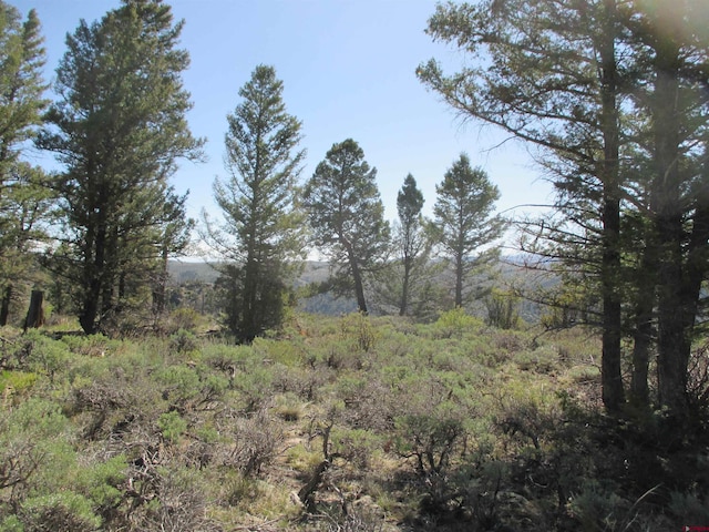 L51/U2 Mosquito Way, Powderhorn, CO 81243