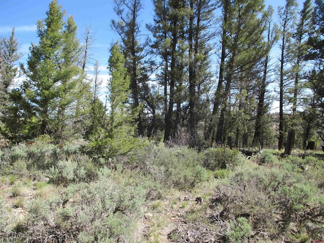 L51/U2 Mosquito Way, Powderhorn, CO 81243