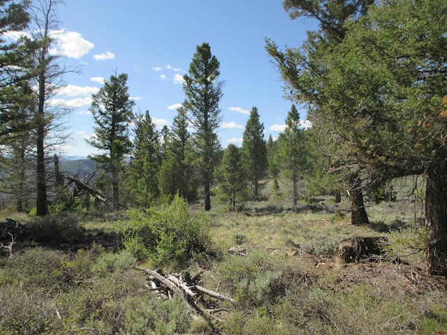 L51/U2 Mosquito Way, Powderhorn, CO 81243