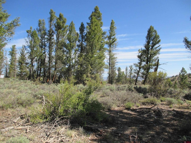 L51/U2 Mosquito Way, Powderhorn, CO 81243