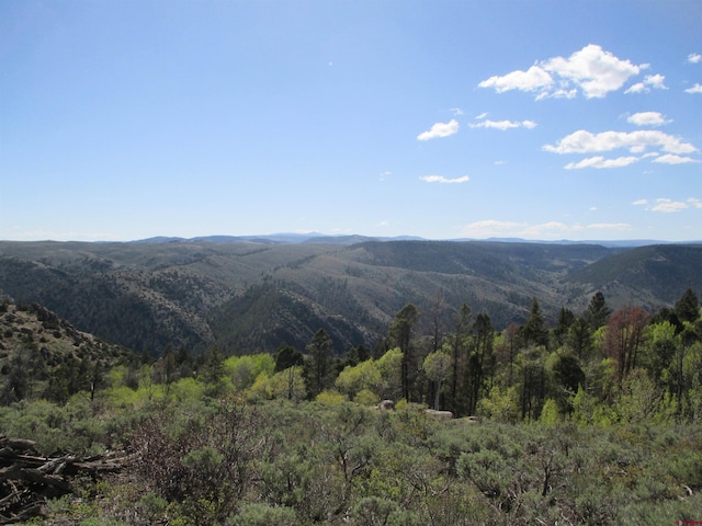 L51/U2 Mosquito Way, Powderhorn, CO 81243