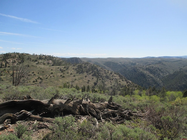L51/U2 Mosquito Way, Powderhorn, CO 81243