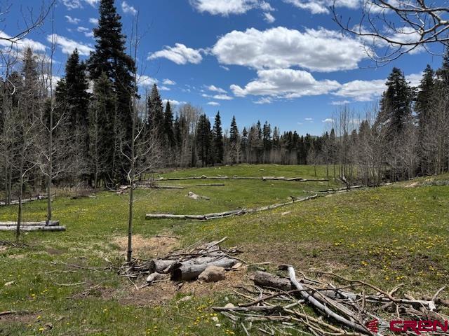 4558 Middle Mountain Rd, Bayfield, CO 81122