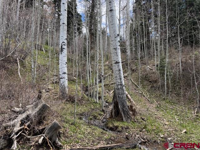 4558 Middle Mountain Rd, Bayfield, CO 81122