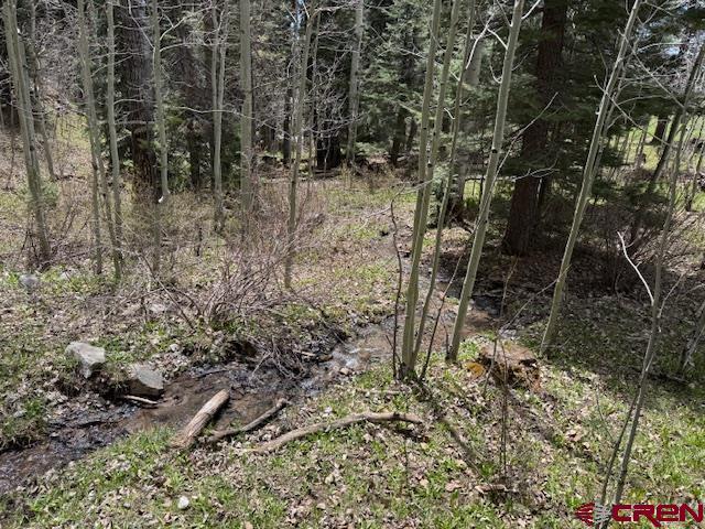 4558 Middle Mountain Rd, Bayfield, CO 81122
