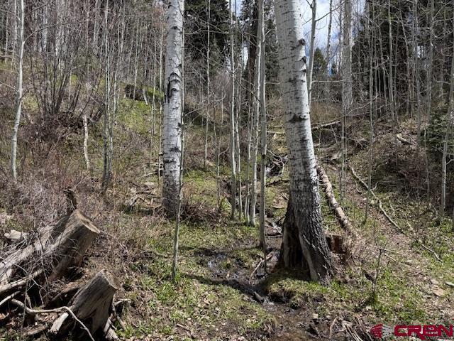 4558 Middle Mountain Rd, Bayfield, CO 81122