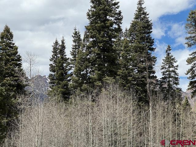 4558 Middle Mountain Rd, Bayfield, CO 81122