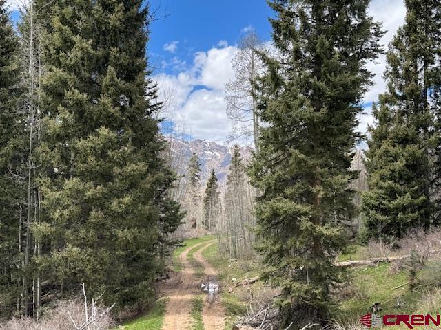 4558 Middle Mountain Rd, Bayfield, CO 81122