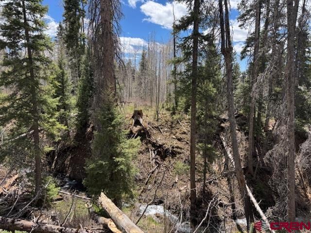 4558 Middle Mountain Rd, Bayfield, CO 81122
