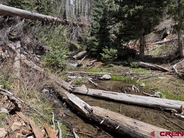 4558 Middle Mountain Rd, Bayfield, CO 81122