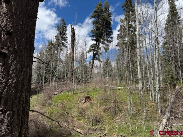 4558 Middle Mountain Rd, Bayfield, CO 81122