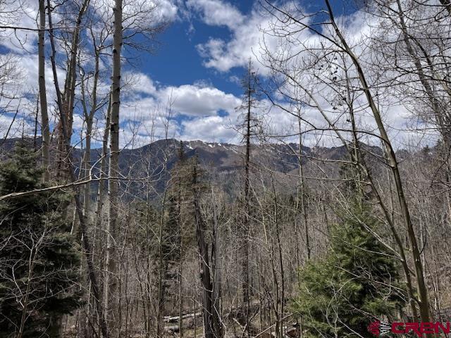 4558 Middle Mountain Rd, Bayfield, CO 81122