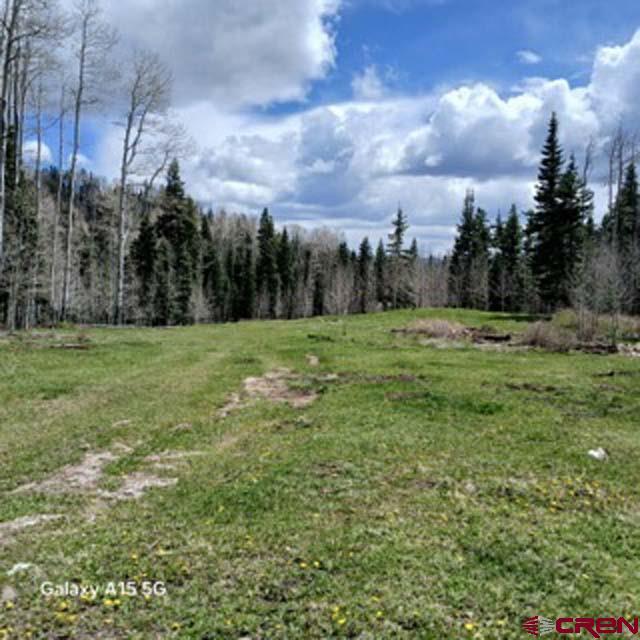 4558 Middle Mountain Rd, Bayfield, CO 81122