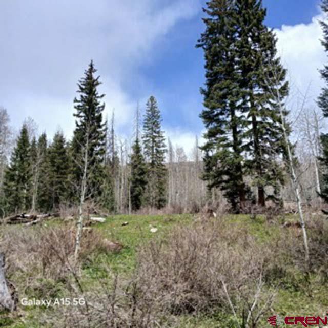 4558 Middle Mountain Rd, Bayfield, CO 81122