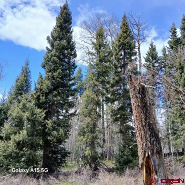 4558 Middle Mountain Rd, Bayfield, CO 81122