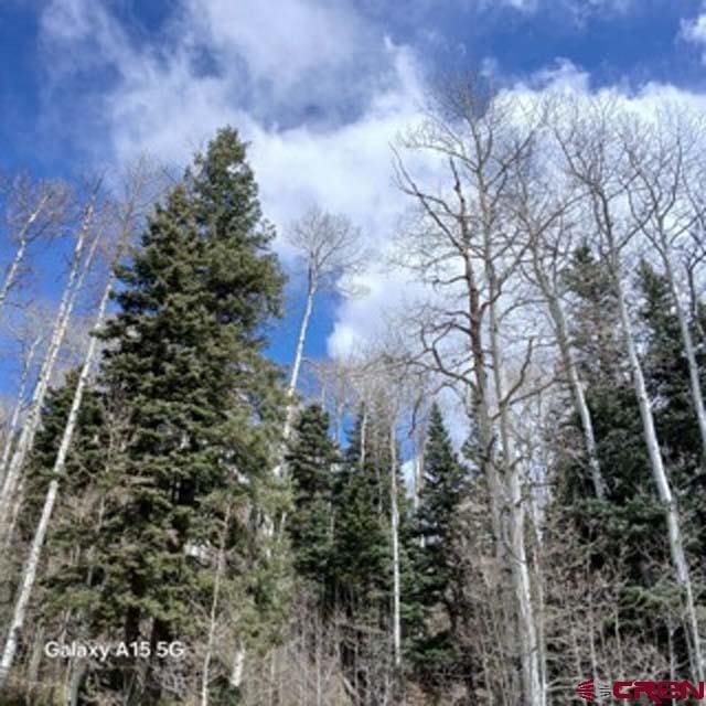 4558 Middle Mountain Rd, Bayfield, CO 81122