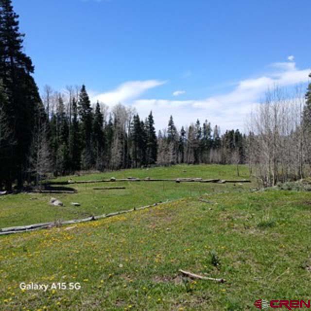 4558 Middle Mountain Rd, Bayfield, CO 81122