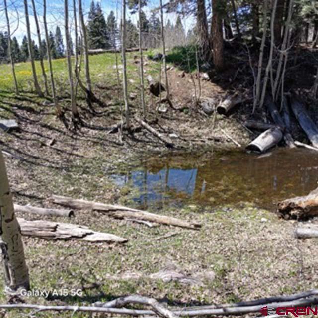 4558 Middle Mountain Rd, Bayfield, CO 81122