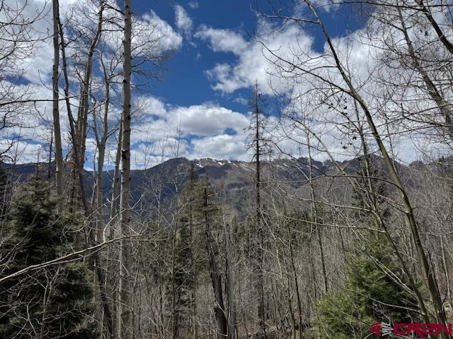 4558 Middle Mountain Rd, Bayfield, CO 81122